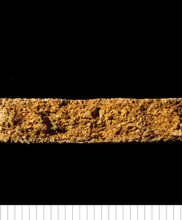 WVSW - Waveney Valley sandy ware