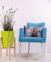 Mobiliar, Equipar e Decorar sua Casa