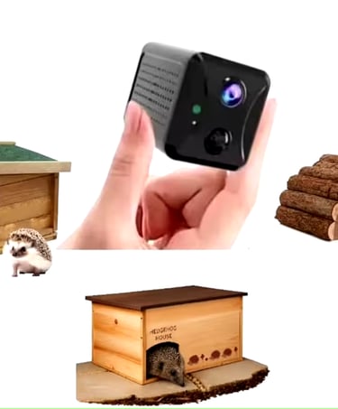Hand holding a solar wildlife camera next to wooden hedgehog houses with a hedgehog beside the shelt