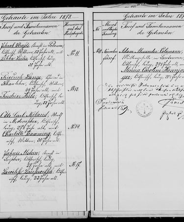 Adam Alexander Volkmann  metric 1878 year 