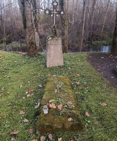 Kol kas nepavyko perskaityti  1