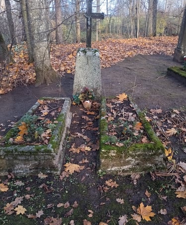 Kol kas nepavyko perskaityti 3