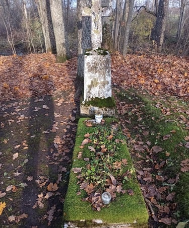 Kol kas nepavyko perskaityti 4