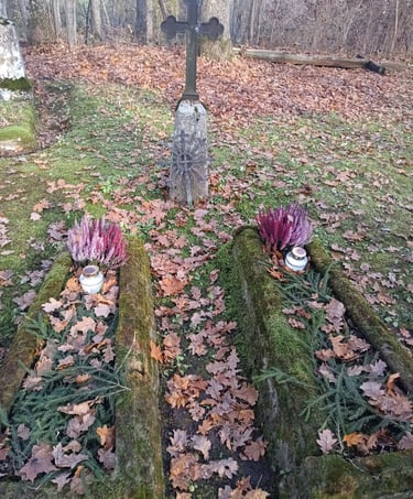 Kol kas nepavyko perskaityti 6