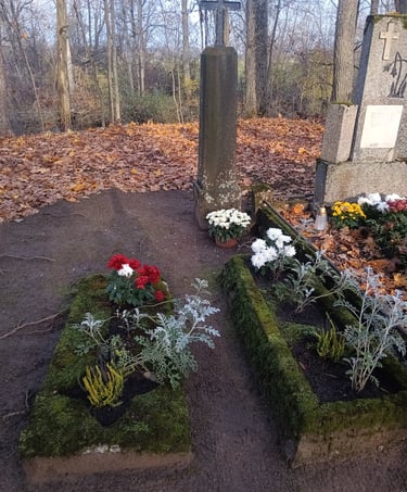 Kol kas nepavyko perskaityti 5