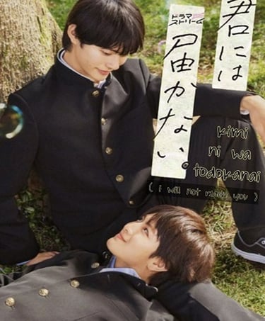 kimi ni wa todokanai