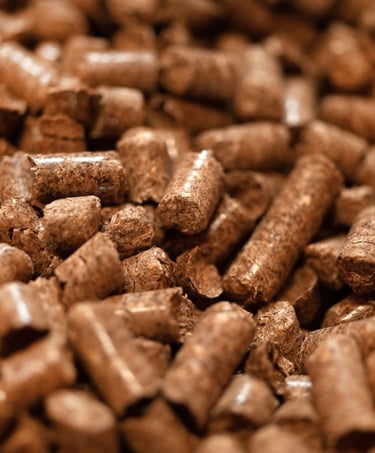 Nourriture pour wallaby de Bennett