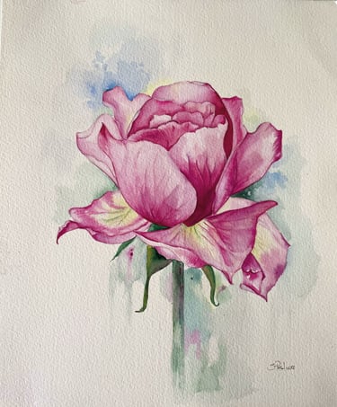 Rosa dipinta ad acquerello