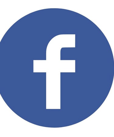 Entreprise Visue'L Page Facebook pro
