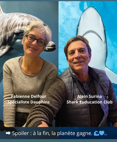 fabienne delfour alain surina battle dauphin vs requins