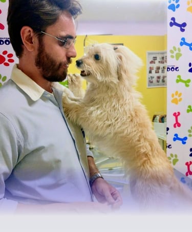 Vacinas Pet em Maringa