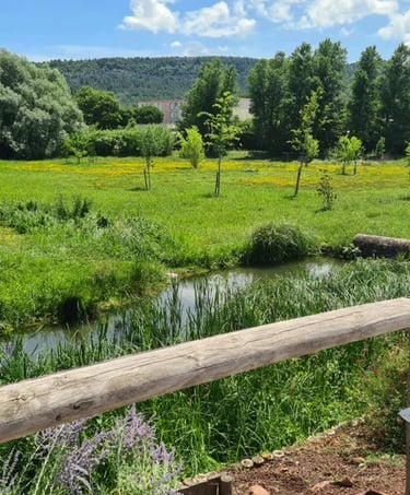 A Saint-Paul-Trois-Châteaux, non loin du mas de l'Enclos du Soleil le Vent, on peut faire de nombreuses promenades