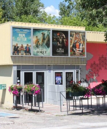Le cinéma du 7ième art est situé à moins de 1 km du mas de l'Enclos du Soleil le Vent