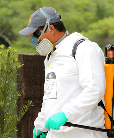 controle de pragas em ambiente
