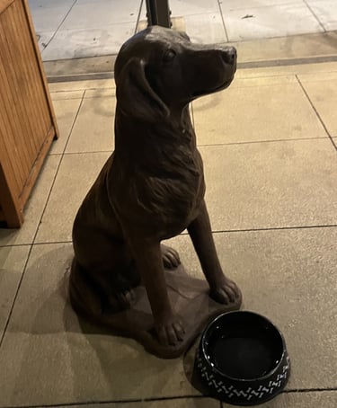 dog friendly travel monterey california