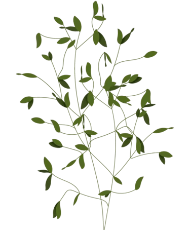 About Dr Petrina Brett, Clinical Psychologist & CAT Therapist UK