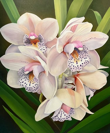 Pink Cymbidium