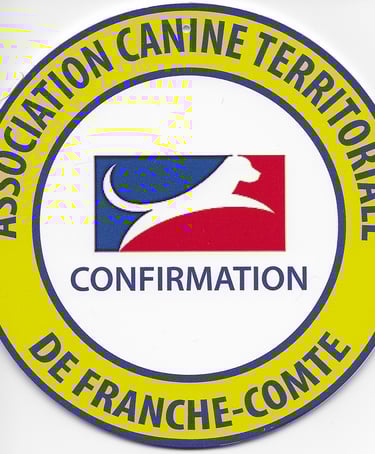 obtention du pedigree par une femelle Schnauzer