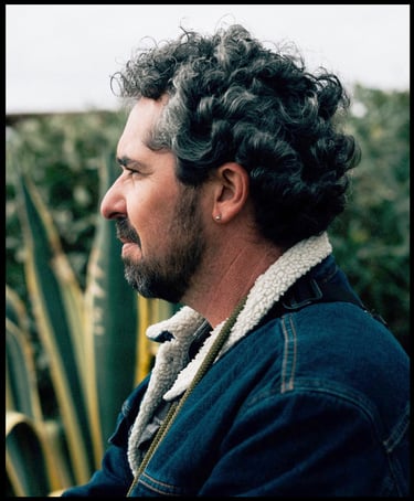 armando cardoso site