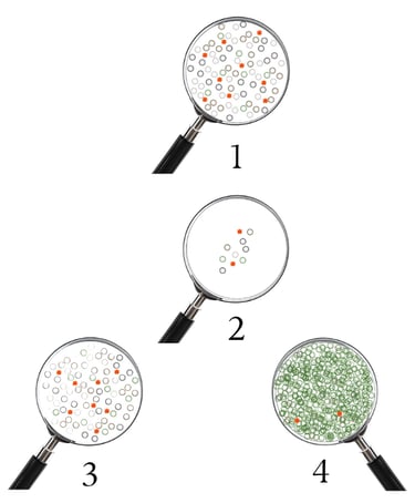 4-stage diagram of competitive exclusion in probiotic cleaning: Gause's Law