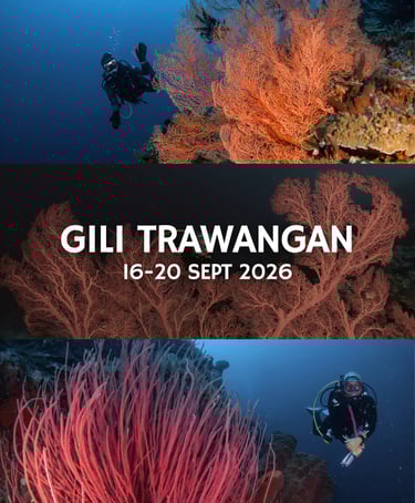 Orca Dive Team Gili Trawangan Trip