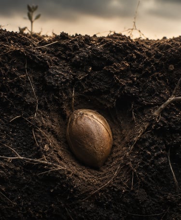 Dormant seed representing autopilot