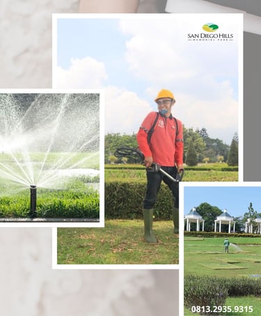 San Diego Hills Memorial park karawang dengan jadwal rutin pemeliharaan rumput dan penyiraman taman