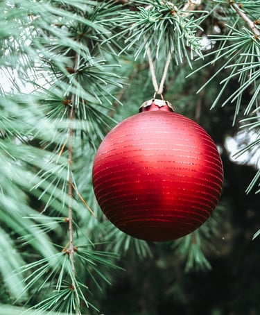 Red ball ornament hanging from a Christmas tree