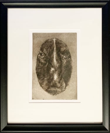 A mezzotint hand made print of an animal looking at the viewer.