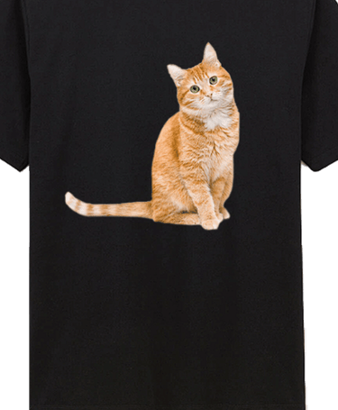 deuxième exemple de tshirt floqué