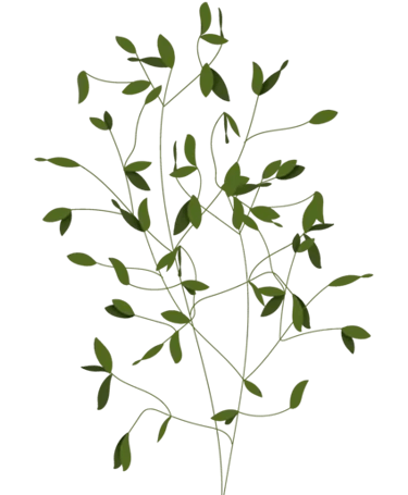 Dr Petrina Brett Clinical Psychologist