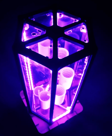 mini serre hydroponique