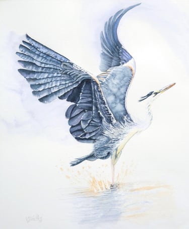 Making a Splash, Elegant Heron