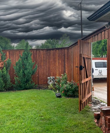 privacy fence install in Frisco