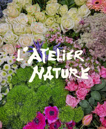 l'atelier nature, sablé-sur-Sarthe, communication, photo, fleur