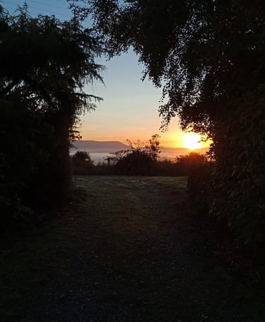 Sunrise on a Southland farm