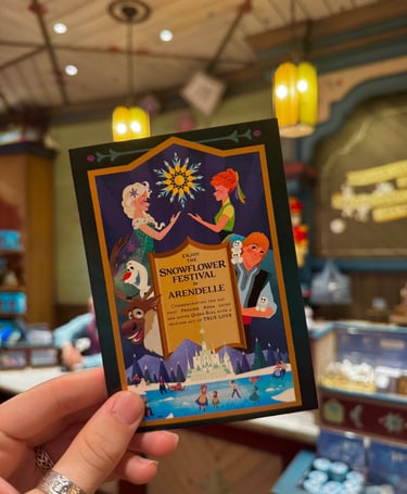 Merchandise Frozen at Disney Adventure World