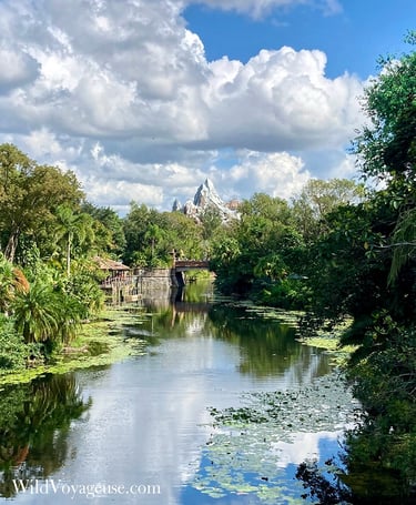 L'attraction Expedition Everest d'Animal Kingdom à Walt Disney World en Floride