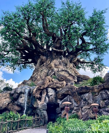 L'Arbre de la Vie d'Animal Kingdom à Walt Disney World en Floride