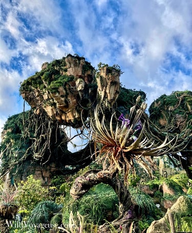Rochers volants du land Avatar à Animal Kingdom à Walt Disney World en Floride