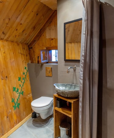 Rustic bathroom with wood paneled walls, a stone vessel sink, and a modern wall-mounted toilet.