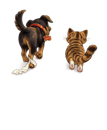 Loki and Cat walking towards their next sustainability gig