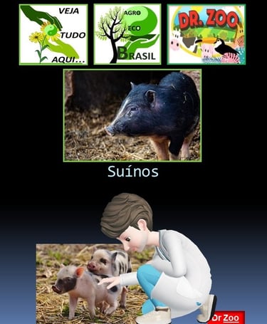 Suinocultura