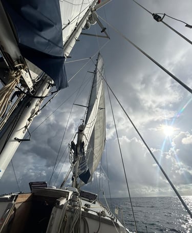 New Sails for Wind Shift
