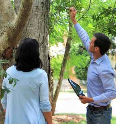 Comprehensive arbor consultation.