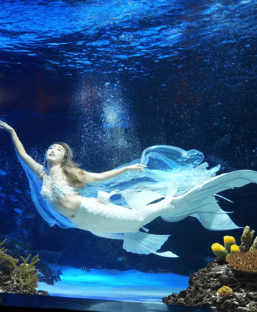Mermaid Sera in an aquarium show in Korea