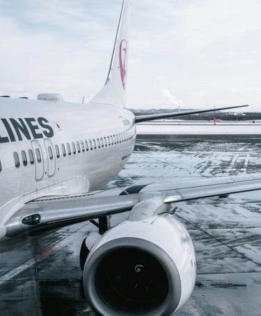 lado del avión