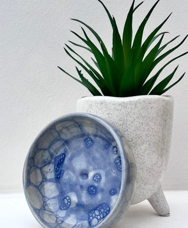La coupelle bubble blue