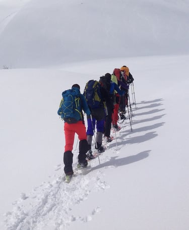 Grupo caminando en la nieve