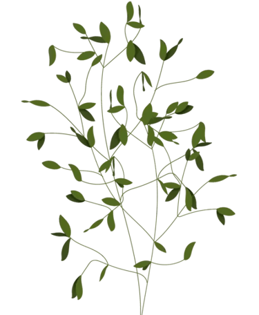 Dr Petrina Brett, Psychologist: Perinatal & Adult Therapy UK